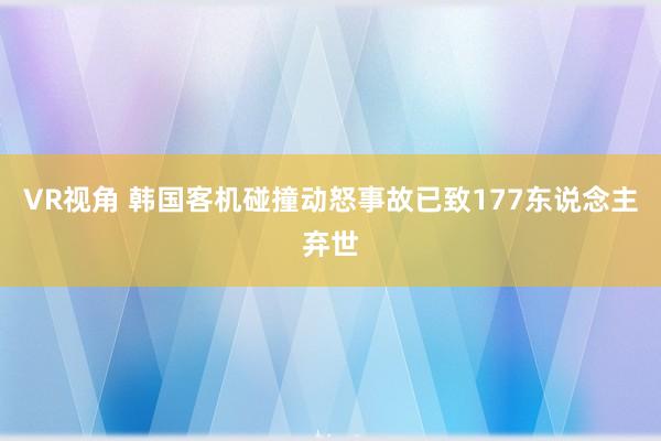 VR视角 韩国客机碰撞动怒事故已致177东说念主弃世