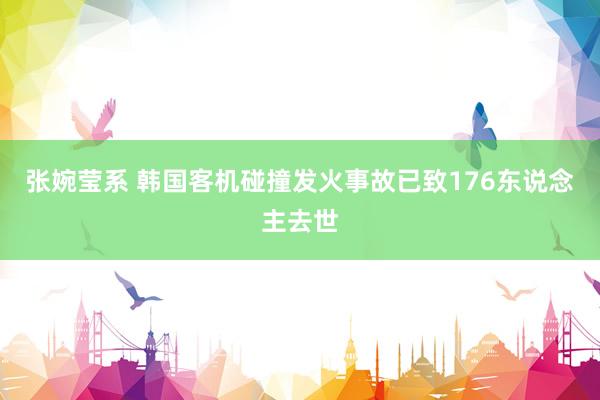 张婉莹系 韩国客机碰撞发火事故已致176东说念主去世