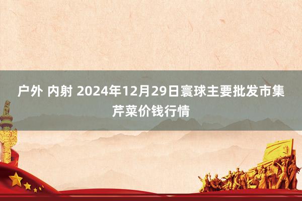 户外 内射 2024年12月29日寰球主要批发市集芹菜价钱行情