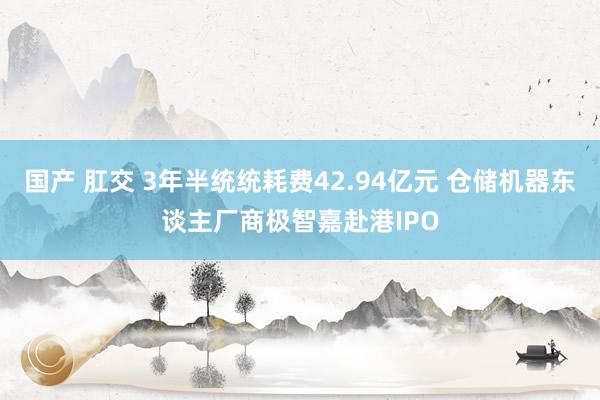 国产 肛交 3年半统统耗费42.94亿元 仓储机器东谈主厂商极智嘉赴港IPO