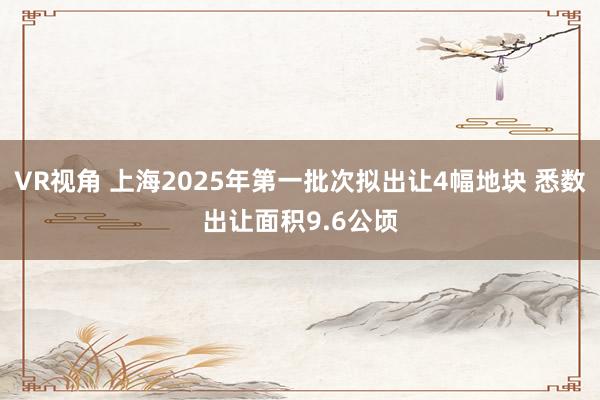 VR视角 上海2025年第一批次拟出让4幅地块 悉数出让面积9.6公顷