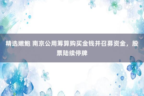 精选嫩鲍 南京公用筹算购买金钱并召募资金，股票陆续停牌