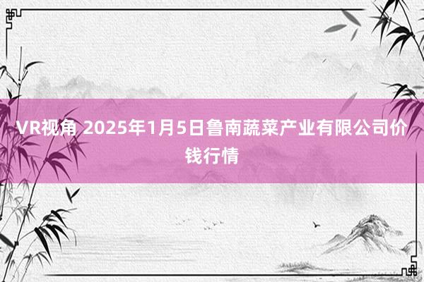 VR视角 2025年1月5日鲁南蔬菜产业有限公司价钱行情