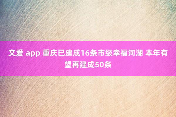 文爱 app 重庆已建成16条市级幸福河湖 本年有望再建成50条