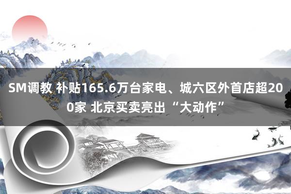 SM调教 补贴165.6万台家电、城六区外首店超200家 北京买卖亮出 “大动作”