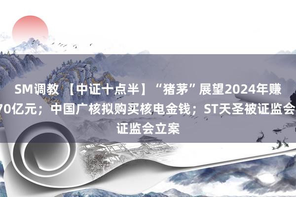 SM调教 【中证十点半】“猪茅”展望2024年赚超170亿元；中国广核拟购买核电金钱；ST天圣被证监会立案