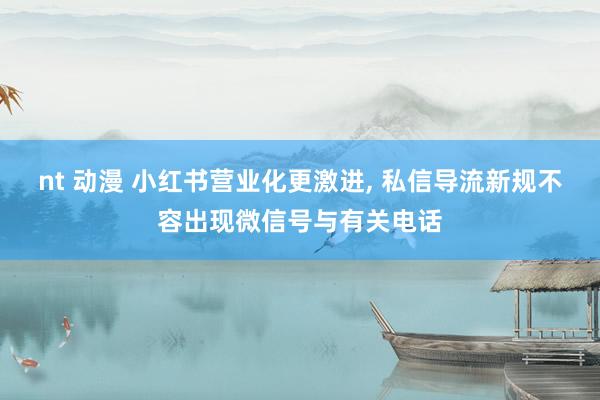 nt 动漫 小红书营业化更激进， 私信导流新规不容出现微信号与有关电话