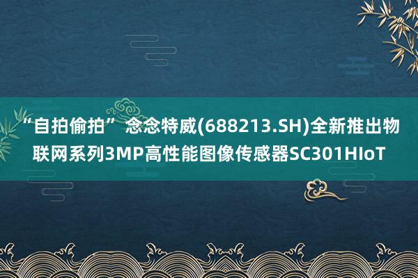 “自拍偷拍” 念念特威(688213.SH)全新推出物联网系列3MP高性能图像传感器SC301HIoT