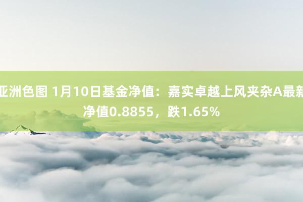 亚洲色图 1月10日基金净值：嘉实卓越上风夹杂A最新净值0.8855，跌1.65%