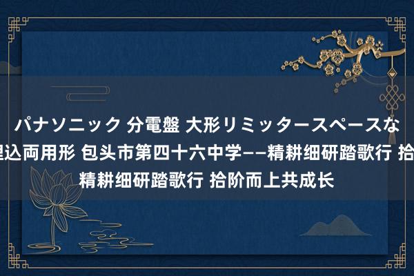 パナソニック 分電盤 大形リミッタースペースなし 露出・半埋込両用形 包头市第四十六中学——精耕细研踏歌行 拾阶而上共成长