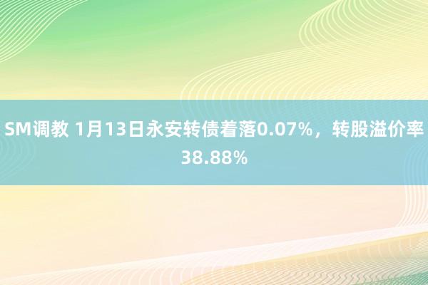 SM调教 1月13日永安转债着落0.07%，转股溢价率38.88%