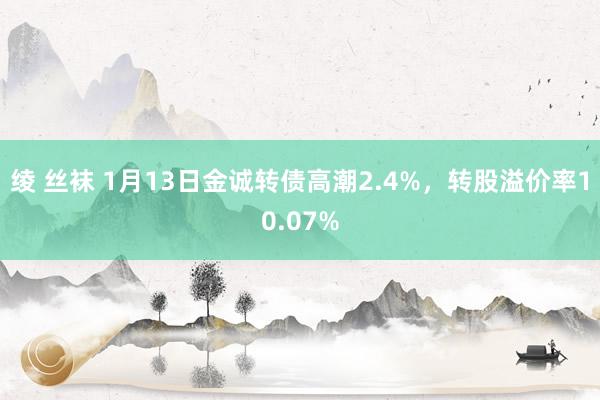 绫 丝袜 1月13日金诚转债高潮2.4%，转股溢价率10.07%