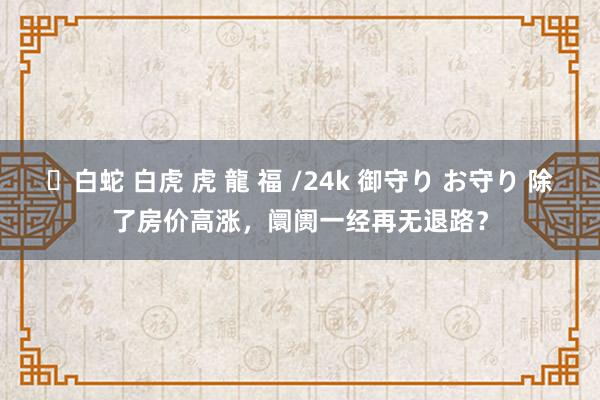 ✨白蛇 白虎 虎 龍 福 /24k 御守り お守り 除了房价高涨，阛阓一经再无退路？