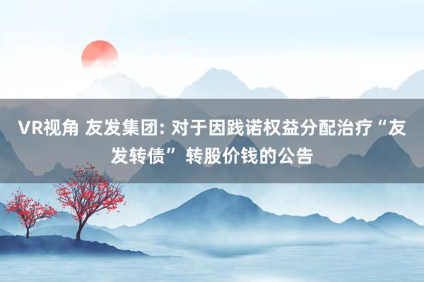 VR视角 友发集团: 对于因践诺权益分配治疗“友发转债” 转股价钱的公告