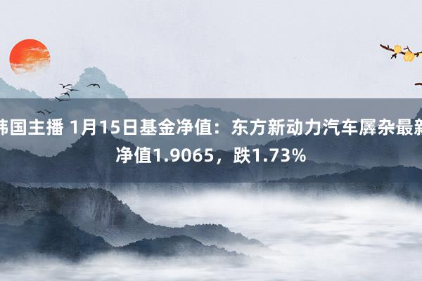 韩国主播 1月15日基金净值：东方新动力汽车羼杂最新净值1.9065，跌1.73%