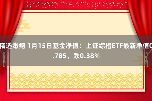 精选嫩鲍 1月15日基金净值：上证综指ETF最新净值0.785，跌0.38%